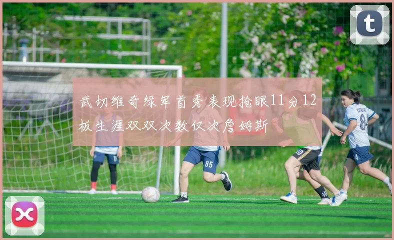 武切维奇绿军首秀表现抢眼11分12板生涯双双次数仅次詹姆斯
